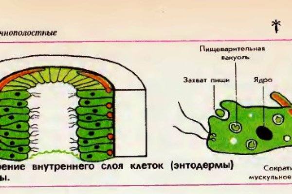 Кракен наркотики