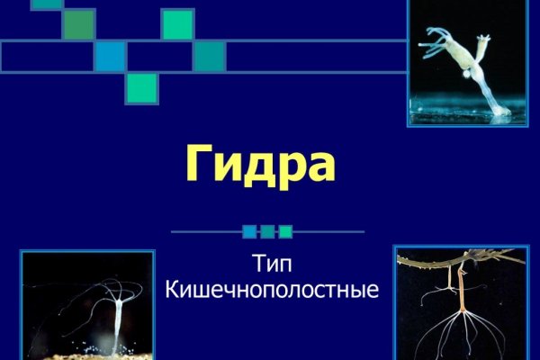 Кракен маркетплейс в питере