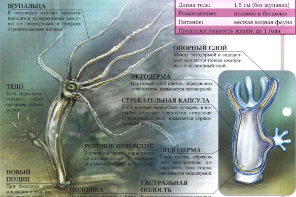 Сайт кракен тор браузера
